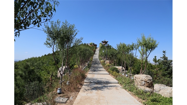 標題：張家口太子山山體修復(fù)
瀏覽次數(shù)：17488
發(fā)表時間：2020-11-12